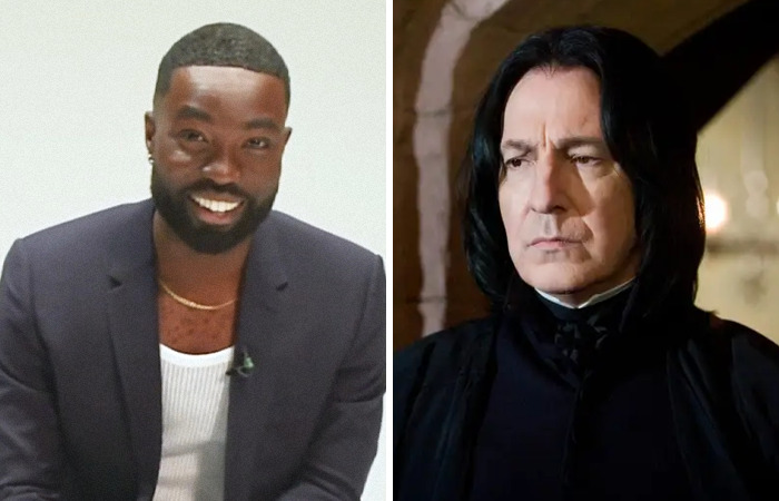 Nuevo elenco para Harry, Hermione y Ron en la próxima serie de Harry Potter que generan reacciones mixtas en línea.