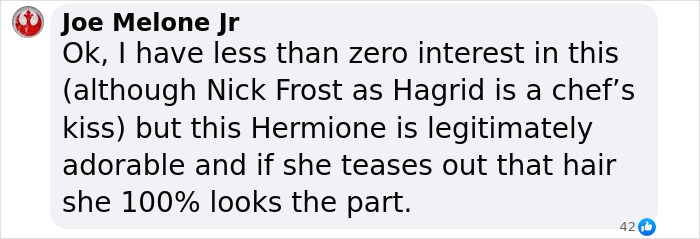 Comentador expresando sentimientos encontrados sobre el nuevo elenco para Harry, Hermione y Ron en el próximo debate en línea de la serie de Harry Potter.