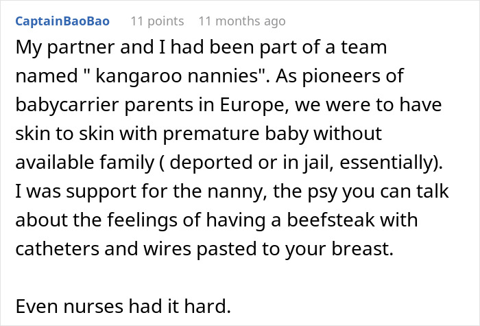 Captura de pantalla de un comentario de Reddit que describe el apoyo a los bebés prematuros en la UCIN, que ilustra la historia de cumplimiento maliciosa de una nueva madre.
