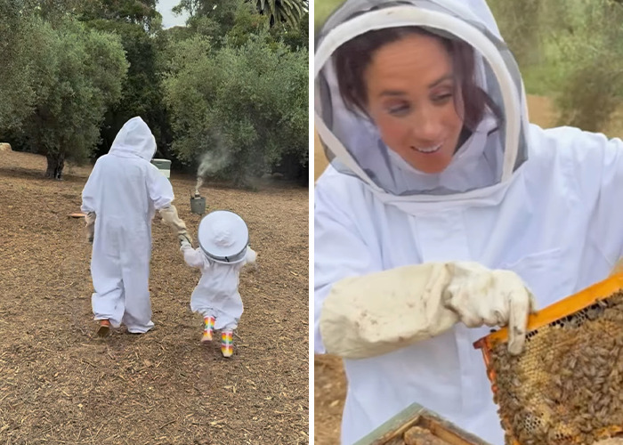 Dos personas en trajes de apicultura que trabajan con panales al aire libre, relacionados con la controversia de los productos de la marca Meghan Markle.