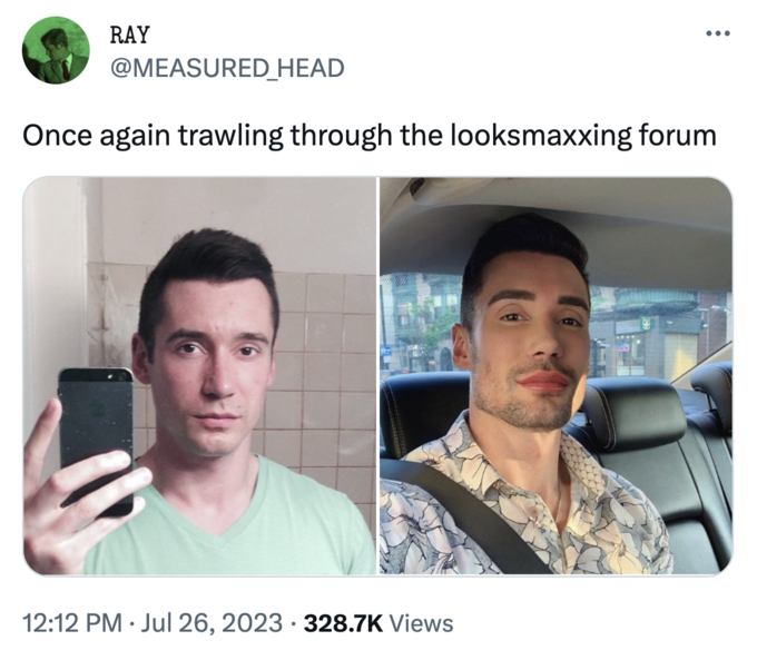 LooksMaxxing meme Ray @measured_head una vez más arrastrando el foro de apariencia de apariencia 12:12 PM. 26 de julio de 2023 328.7k vistas
