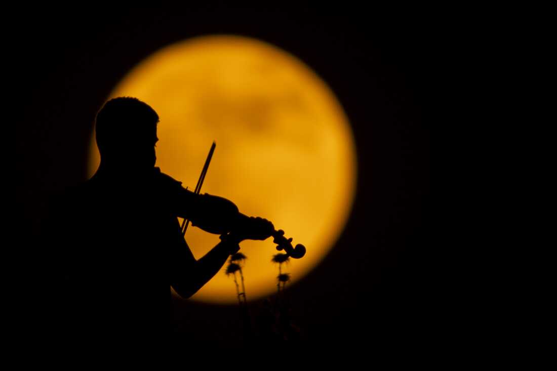 Una persona juega el violín
