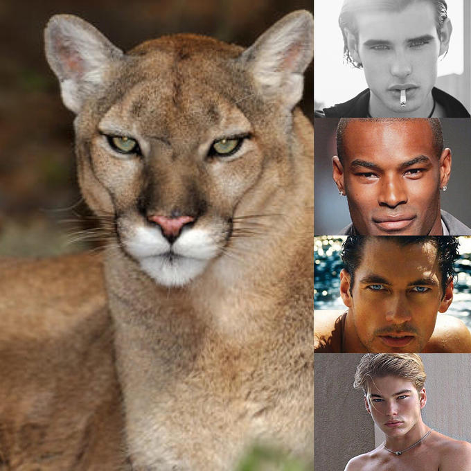 Looksmaxxing Hunter Eyes
