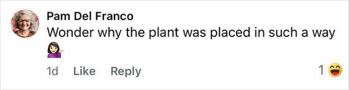 Comentario de Pam del Franco preguntándose por qué se colocó una planta de manera inusual, con una reacción de emoji riendo.