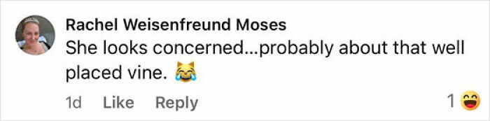 Comentario de Rachel Weisenfreund Moses expresando preocupación por una enredadera bien ubicada, acompañada de un emoji riendo.