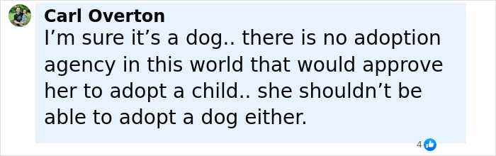 Comentario de Carl Overton cuestionando la legitimidad de Britney Spears adoptando a una niña, dudando de la aprobación de la agencia de adopción.