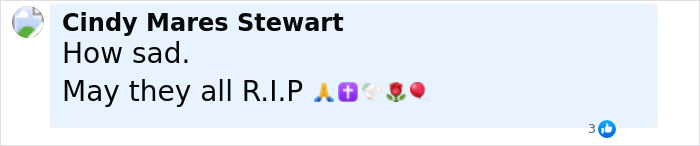 Comentario de Facebook expresando tristeza y condolencias con la oración y emojis de rosa con respecto a un trágico incidente familiar.