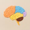 Una ilustración muestra diferentes regiones del cerebro humano.