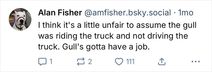 Captura de pantalla de un tweet sobre una gaviota de California enganchando un viaje de 80 millas en un camión de basura dos veces en dos días.