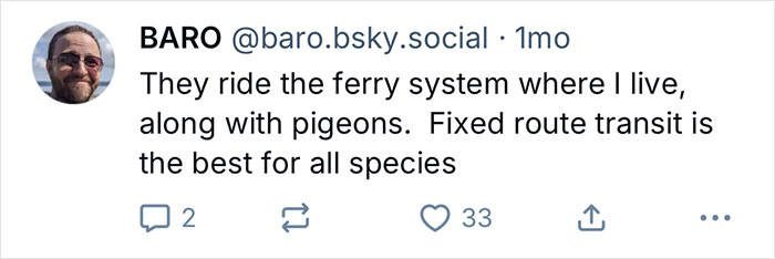Tweet del usuario Baro comentando sobre el sistema de ferry y los paseos en palomas, en relación con el paseo en gaviota de California en camión de basura.