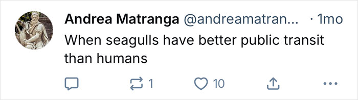 Lectura de tweet Cuando las gaviotas tienen un mejor transporte público que los humanos, haciendo referencia a una gaviota de California enganchando un viaje de 80 millas en un camión de basura.