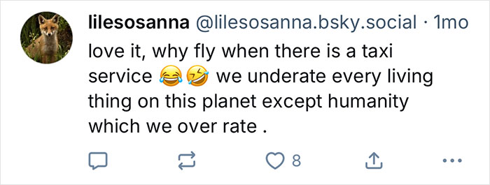 Comente sobre una gaviota de California con humor utilizando un servicio de taxi en lugar de volar, con emojis expresando risas.