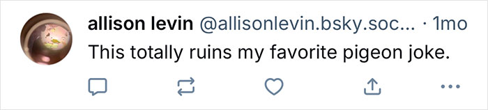 Captura de pantalla de un tweet de Allison Levin sobre una broma que involucra una paloma, haciendo referencia al comportamiento de la gaviota de California.