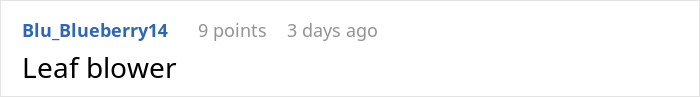 Captura de pantalla de un comentario en el foro que muestra a un usuario llamado Blu_BlueBerry14 con 9 puntos comentando "Soplador de hojas" Acerca de la vecina de bloqueo de la entrada.
