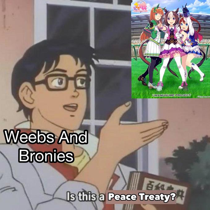 Meme de bajo esfuerzo #3 Umamusume Project Weebs y Bronies S Este es un tratado de paz3