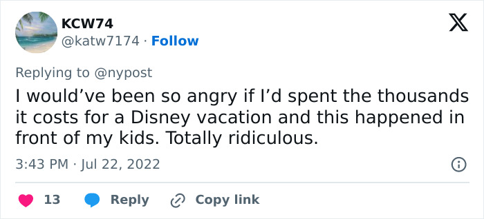 El usuario de Twitter que expresa enojo por un violento incidente de Disney World que involucró a la madre de la víctima y al culpable reveló.