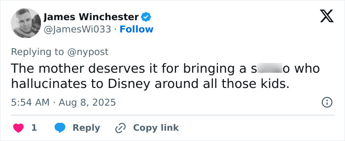 Publicación de Twitter de James Winchester comentando sobre el violento incidente del World de Disney que involucra a la víctima y a la madre del culpable.