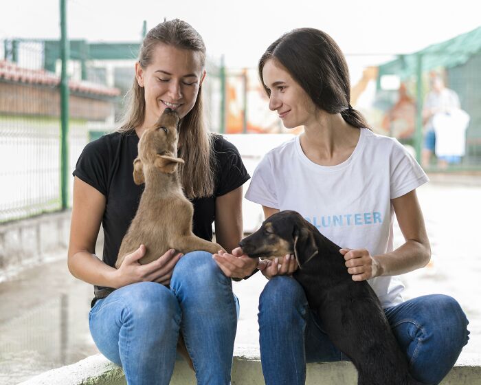 Dos mujeres que cuidan doggos heridos rescatados, que muestran amor y compasión como parte de un esfuerzo de rescate de perros y enfermería.