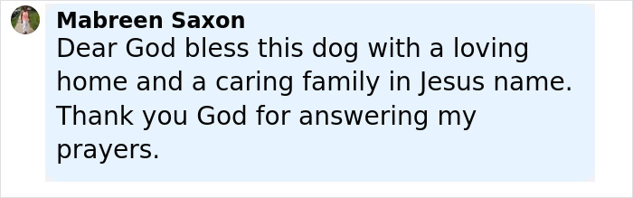 Comentario que expresa una oración por un perro herido rescatado de la basura y le convirtió a la salud.
