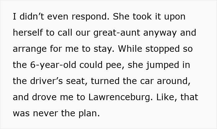Extracto de texto que describe a una hermana secuestrando un viaje por carretera y esperando arreglos de cuidado de niños sin una discusión previa.