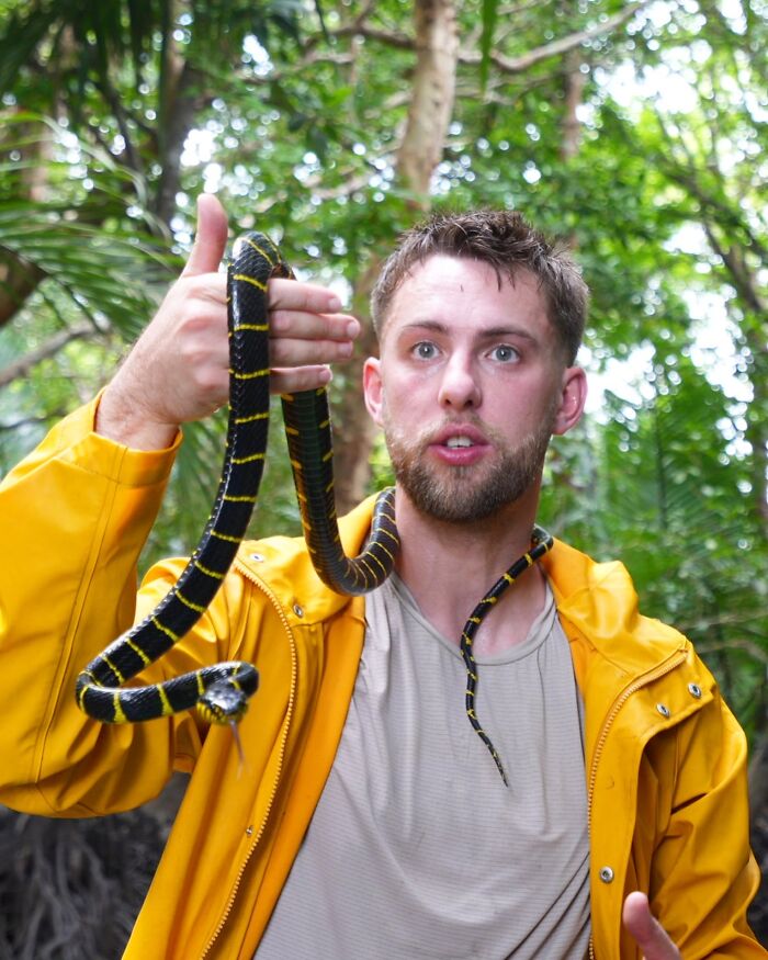 El hombre con una chaqueta amarilla sosteniendo una serpiente negra y amarilla, destacando el influencer de indignación de la controversia de la tribu indígena.