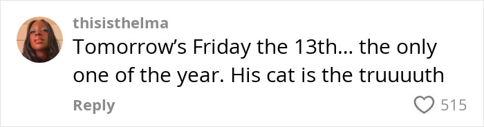 Comente del usuario ThisIsthelma sobre que su gato sea sincero el viernes 13, relacionado con un gato de rescate negro con talentos místicos.