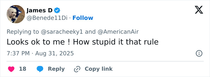 Tweet por el usuario James D respondiendo sobre la regla de la azafata, discutiendo la discriminación de los senos grandes en la disputa del código de vestimenta de la aerolínea.