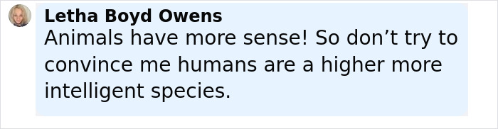 Captura de pantalla de un comentario en las redes sociales de Letha Boyd Owens sobre inteligencia que comparó animales y humanos.