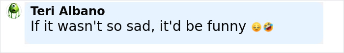 Mensaje de chat del usuario Teri Albano expresando que la situación sería divertida si no fuera tan triste, con emojis tristes y risueños.
