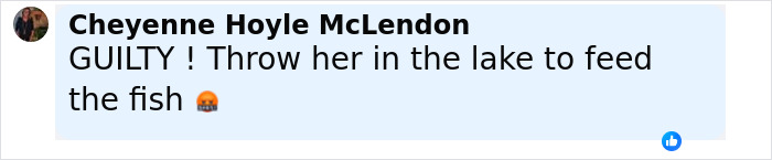 Comentario de Facebook de Cheyenne Hoyle McLendon reaccionando a la escalofriante confesión de una madre amish desquiciada después de ahogarse de 4 años.