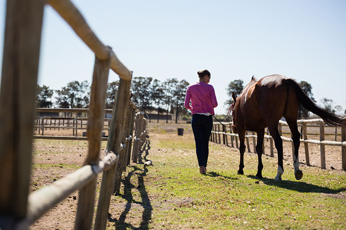 Niña de 17 años que caminaba con un caballo en una zona rural cercada, reflejando cambios de vida después del regreso de los padres de los padres.