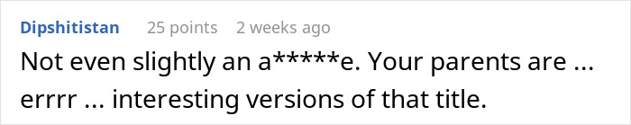 Captura de pantalla de un comentario que discute a los padres que regresan después de un viaje mundial de 7 años que impactó la vida de un niño de 17 años.