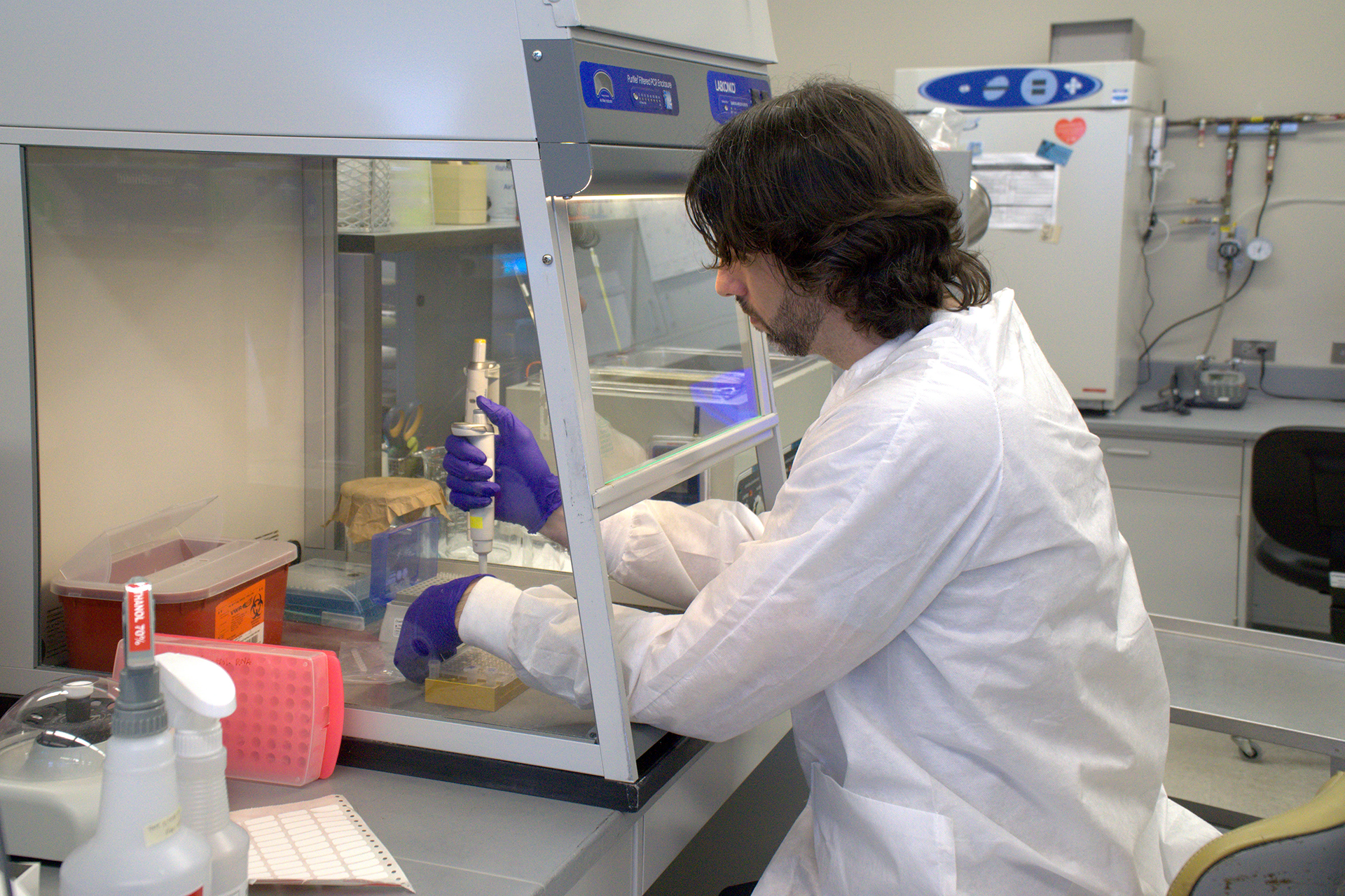 A man in a white lab coat and purple gloves performs a procedure with a pipette.