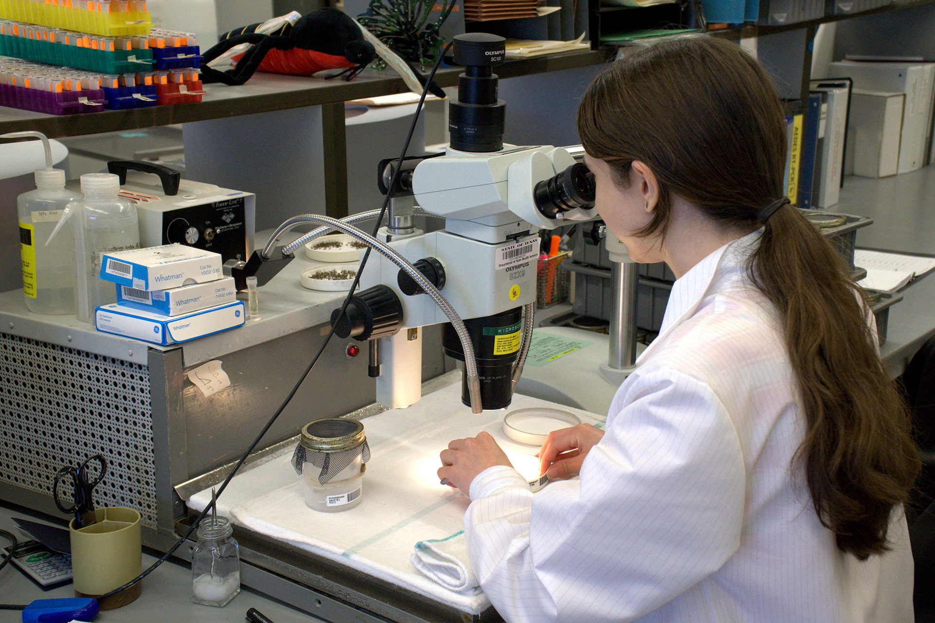 A woman in a lab coat looks into a lab-grade microscope.