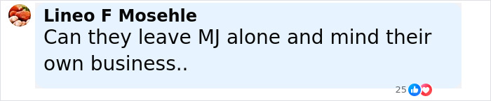 Comente de LineO F Mosehle expresando frustración sobre las personas que no dejan solo a Michael Jackson y se ocupan de sus propios negocios.