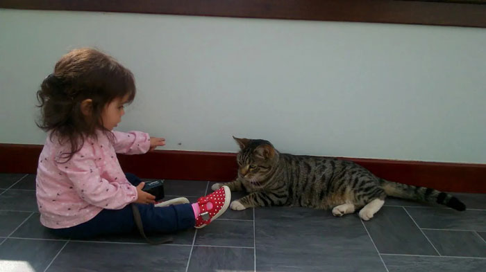 Niño pequeño sentado en el piso que se extiende hacia un gato atigrado, capturando el momento de la familia reunida con el amado gato.