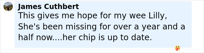 Comentario de James Cuthbert expresando esperanza por su gato desaparecido Lilly, relacionado con la familia reunida con el querido gato después de casi una década.