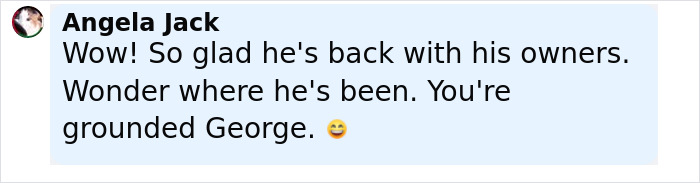 Comentario de Angela Jack expresando alegría por la familia reunida con el amado gato después de casi una década.
