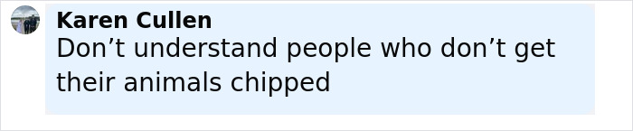 Karen Cullen comentando sobre personas que no aportan sus animales en una publicación en las redes sociales.