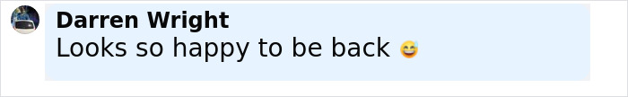 Comentario de Darren Wright expresando felicidad sobre estar de regreso, relacionado con la familia reunida con el querido gato después de años.