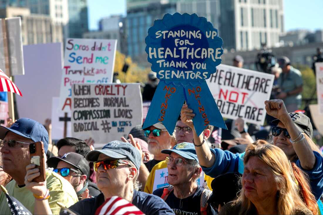 Los manifestantes ondean pancartas en la manifestación No Kings en Boston Common en Ma.
