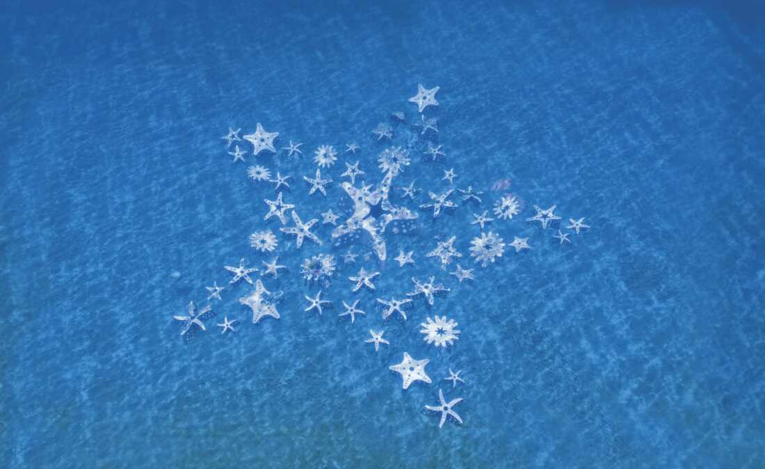 La directora artística Ximena Caminos cree que una de las esculturas, Miami Reef Star, algún día podría convertirse en un símbolo de la ciudad.