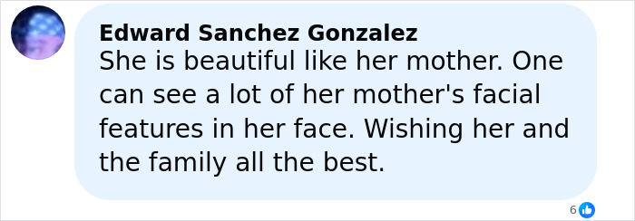 La hija de Catherine Zeta-Jones luciendo un vestido vintage de hace 20 años en una elegante gala.