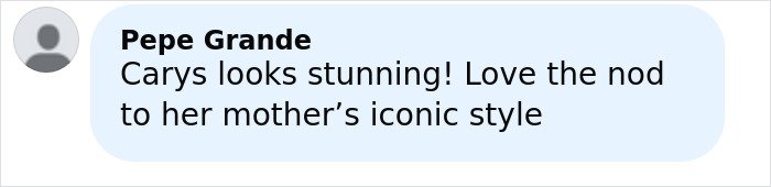 La hija de Catherine Zeta-Jones muestra una elegancia atemporal con el vestido vintage de 20 años de su madre en un evento de gala.