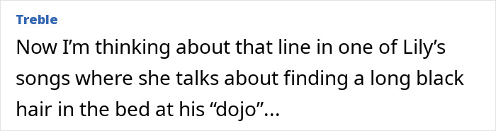 Extracto de texto que analiza la letra de la canción de Lily sobre encontrar un cabello largo y negro, relacionada con David Harbour y Stranger Things.