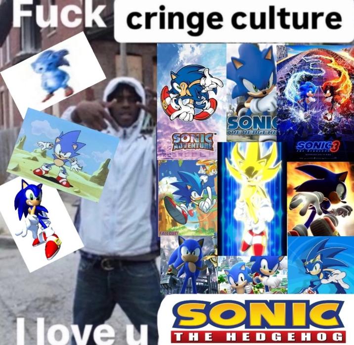 F--- cultura vergonzosa Te amo FALLOUT SONIC™ ADVENTURE SONIC THE HEDGEHD SONIC SONIC THE HEDGEHOG