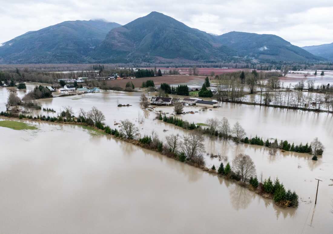 El agua del río Skagit inunda granjas y hogares cerca de Lyman, Washington, el jueves.