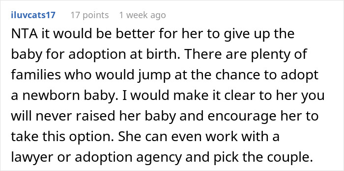 Comentario de Reddit sobre una mujer sin hijos que rechaza la responsabilidad del nuevo bebé de su hermana y aconseja opciones de adopción.