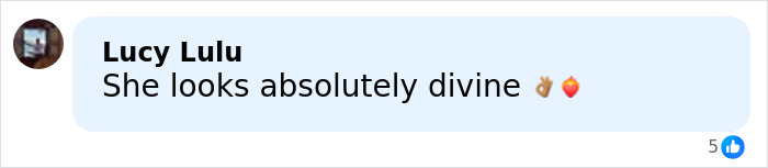 Comente elogiando la aparición de Lily Allen en una publicación continua de celebración del divorcio en la que se habla de su romance en la era de la venganza.