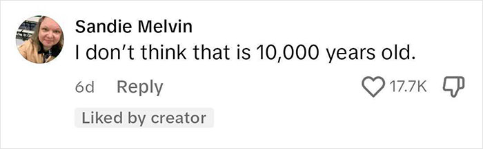 Comentario de Sandie Melvin diciendo que duda de la afirmación de edad, relacionado con la discusión de notas virales sobre las reglas de Airbnb.